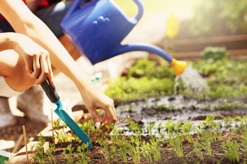 Landscaping website cookie policy illustration