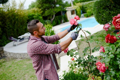 Landscaping team preparing a garden project