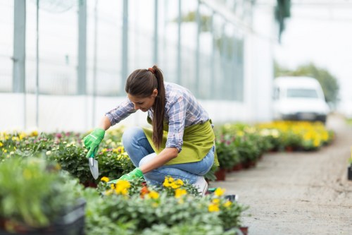 Trusted payment methods for Landscaping Sidcup services