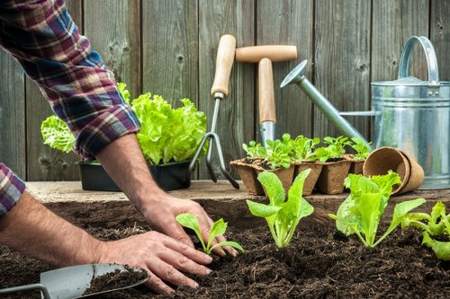 Final landscaping terms and conditions document