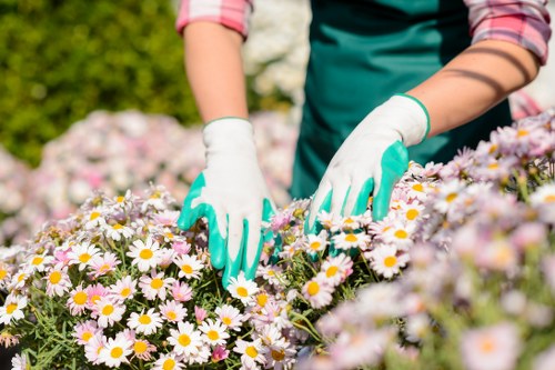 Customer booking a landscaping service