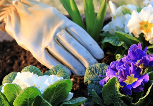 Risk assessment and planning for a Sidcup landscaping project