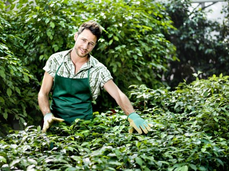 Screen-reader friendly landscaping page structure for Sidcup