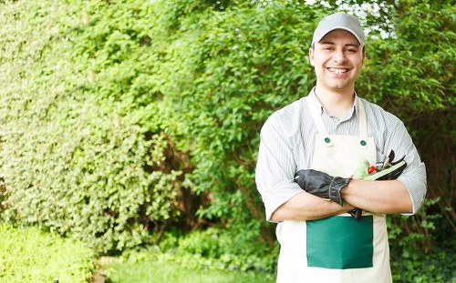 Supplier audit checklist for responsible landscaping procurement