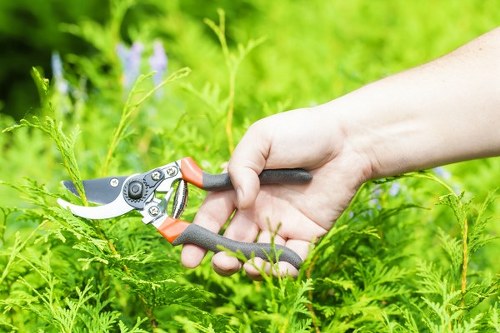 Low-carbon van used for sustainable landscaping transport