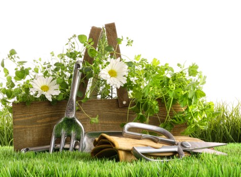Free quote policy for Sidcup landscaping services
