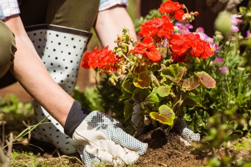Accessibility request support for Sidcup landscaping content