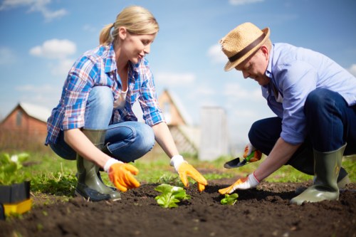 Local turf laying work suitable for homes and businesses in Sidcup